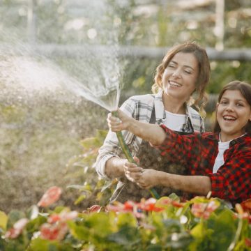 Pompe Submersibile în Irigarea Grădinilor: Eficiență și Economie în Gestionarea Resurselor de Apă