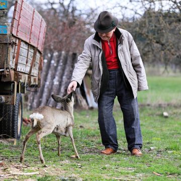 pensie si salariu la stat 2025