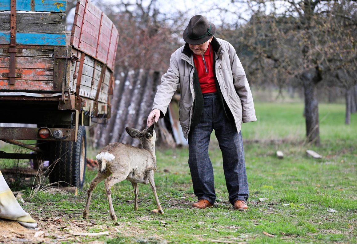 ce pensionari primesc a 13 pensie
