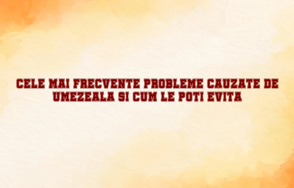 Cele mai frecvente probleme cauzate de umezeala si cum le poti evita