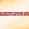 Cele mai frecvente probleme cauzate de umezeala si cum le poti evita